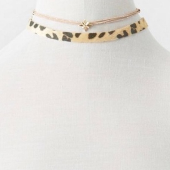 American Eagle Outfitters Jewelry - 3/$20 AEO Choker Necklaces 11" Set 2 Leopard